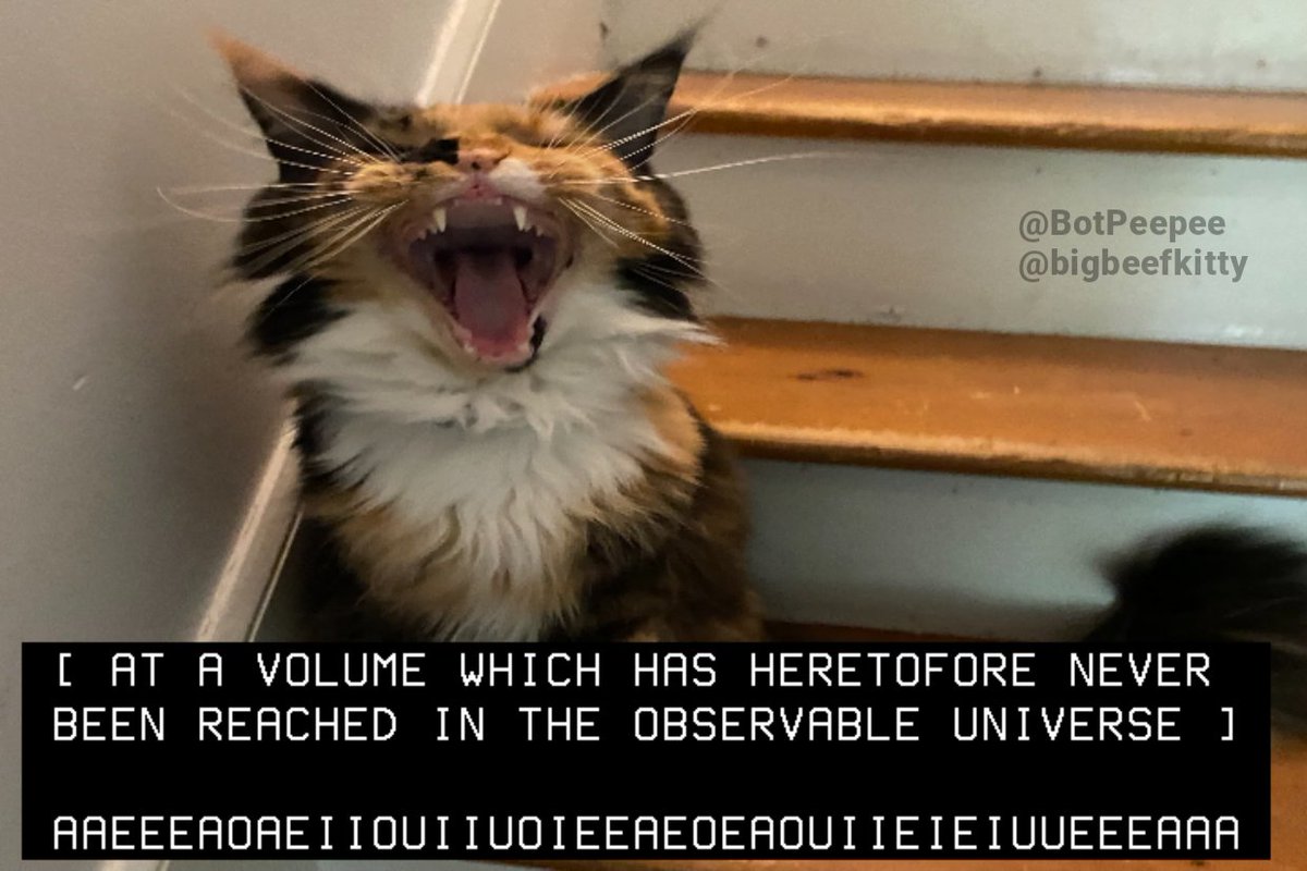 ARCHIVE (@moonlightdrcp) on Twitter photo 