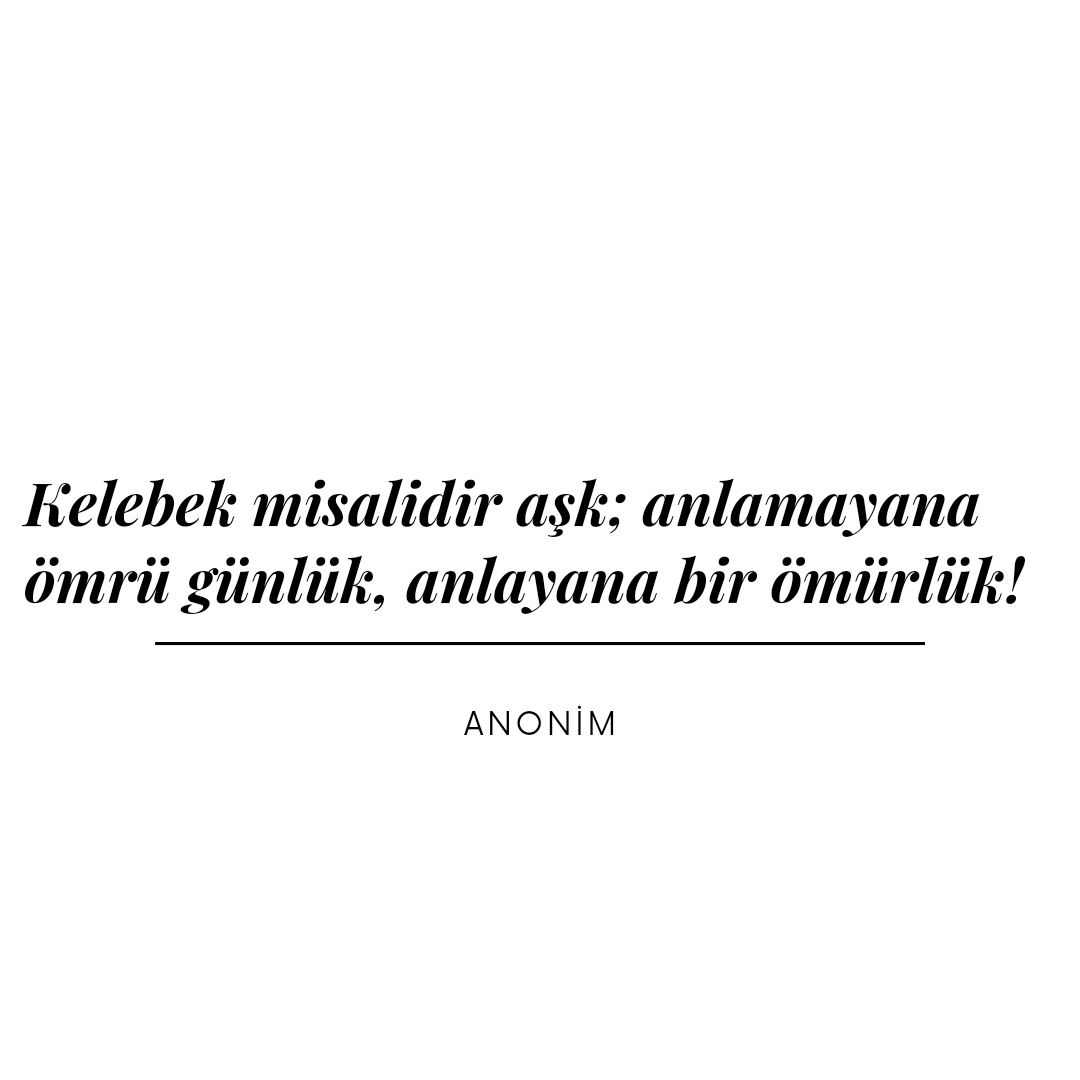 Kelebek misalidir aşk; anlamayana ömrü günlük, anlayana bir ömürlük!
Anonim