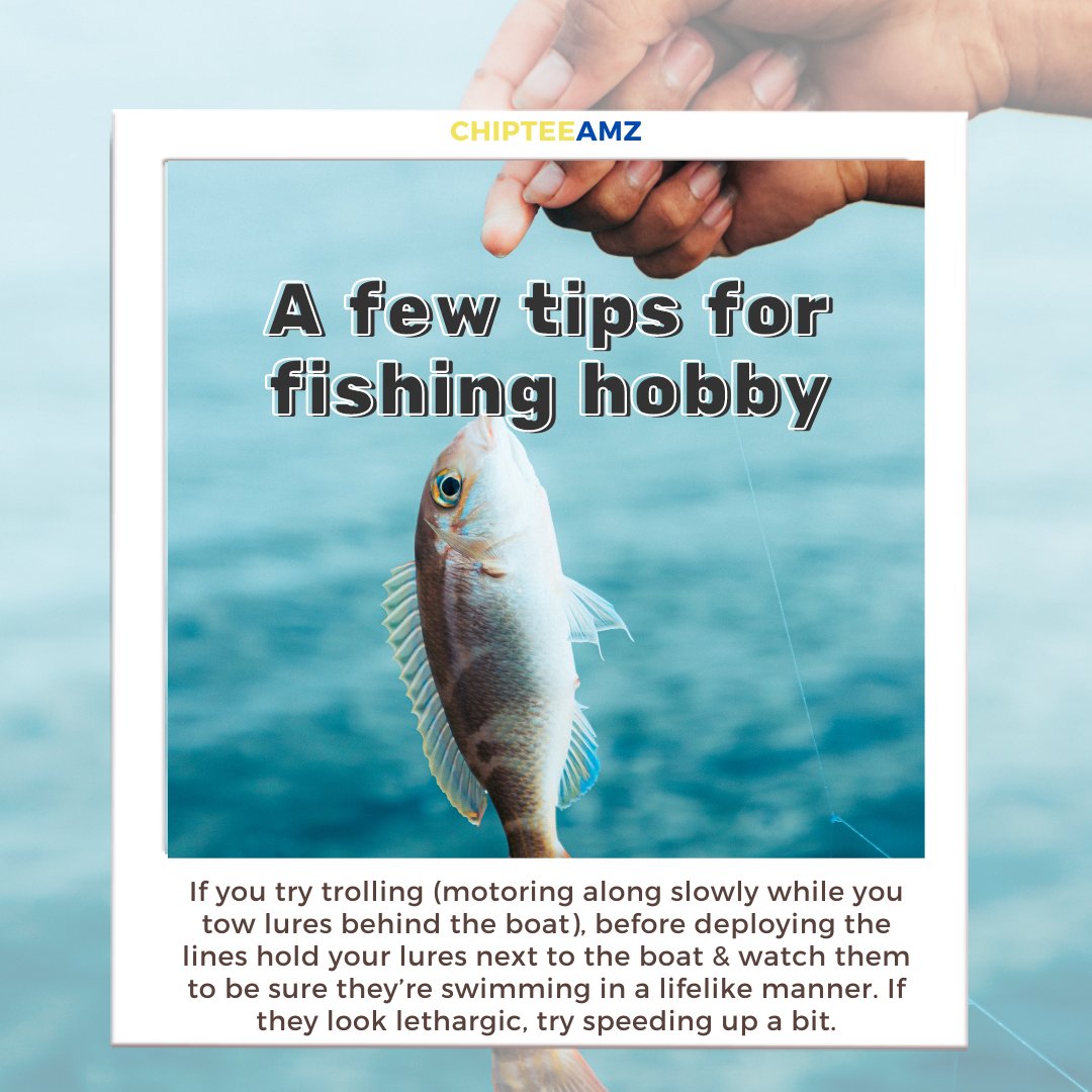 ChipteeA's tweet photo. Tips for fishing hobby

#fishing #fishinglife #fishingaddict #Tips #fishingtrip #fisherman #chipteeamz #fishingshirt #hobby https://t.co/4jIYWUSOzX