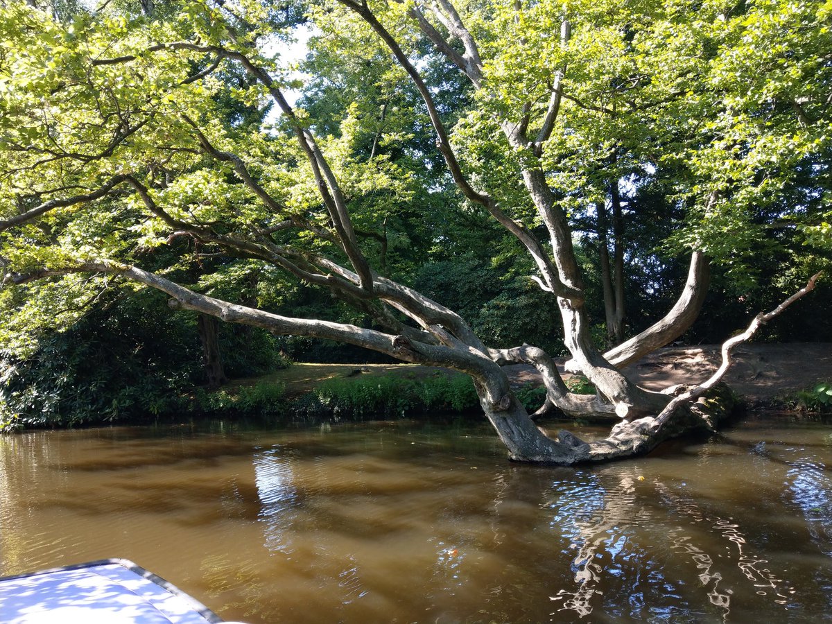 Chilikt1's tweet photo. @Almabtrieb_ Oldenburger Schlosspark 😎 https://t.co/9m7A4il7YG