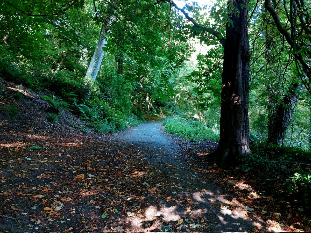 Hike1000miles's tweet photo. Little running treasures πββοΈπ photography running πΈ
#running #getoffthechair #gooutside #Gooutdoors #nature #landscapes #views #park #hike #photography #adventure #discovery #localtrails #exercises #activeday #sunshine #summer #smile https://t.co/G3Xd5Sn8CI