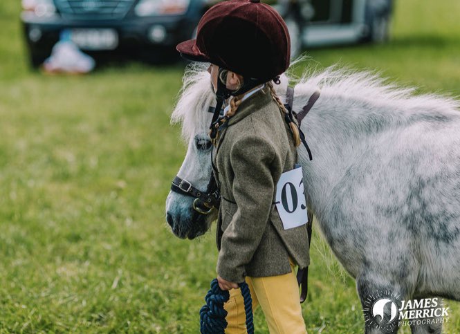 eccleshallshow's tweet photo. GYMKHANA IS BACK! Fun is the central theme in the equestrian classes this year and the Gymkhana is no exception… mounted games, challenges and exercises… open to ALL… not just Pony Club members… enter by Saturday online for a reduced rate, but you can enter on the day anyway https://t.co/QpwrpPCOXJ