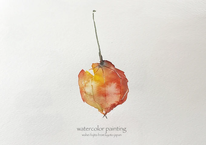 鬼灯。#Watercolor #スケッチ #水彩画 #淡彩略画 #透明水彩 #京都水彩画塾  #水彩画ワークショップ  #水彩画教室  #京都の絵画教室  # 