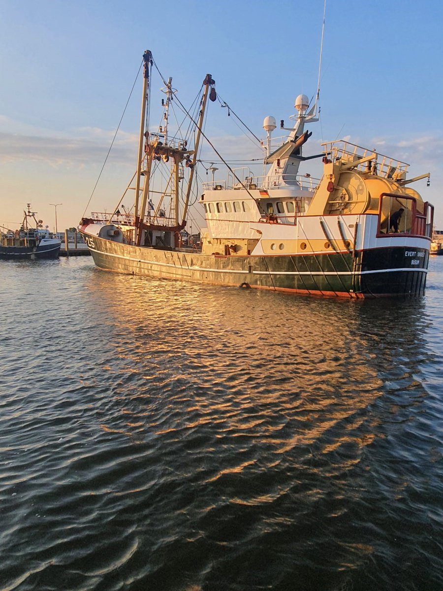 In het ochtendzonnetje verlaat de onder Duitse vlag varende SC-25 'Evert Snoek' de haven van #DenOever. Richting #Harlingen voor optuigen, klaar voor #twinrigvisserij

Alle LUYT-medewerkers wensen schipper/eigenaar Willem &amp; Jacob Snoek #Urk &amp; bemanning veel succes &amp; goede vangst!