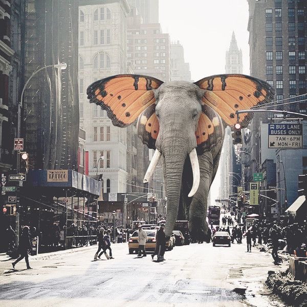 Bite the Biscuit Neighbourhood Market tweet media