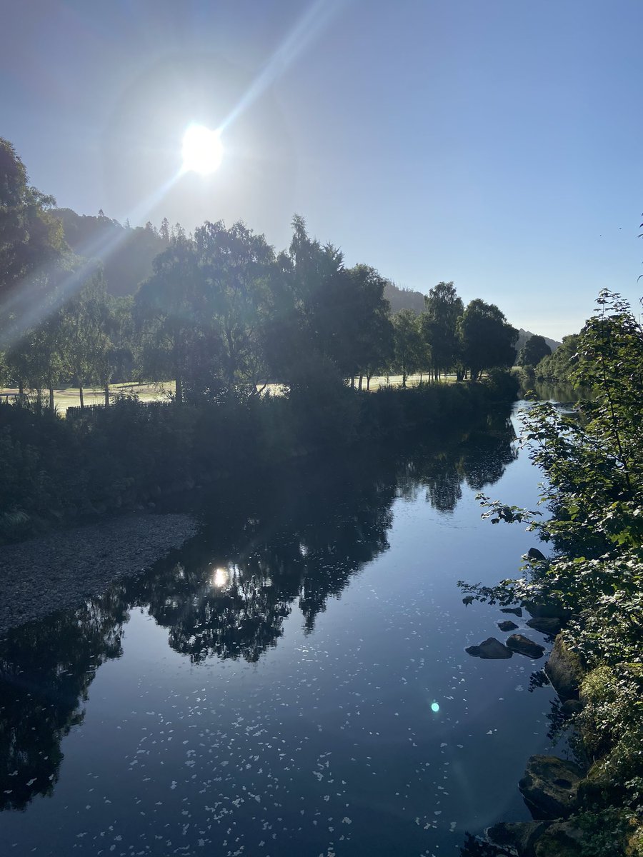 Woodenbridge Golf Club tweet media