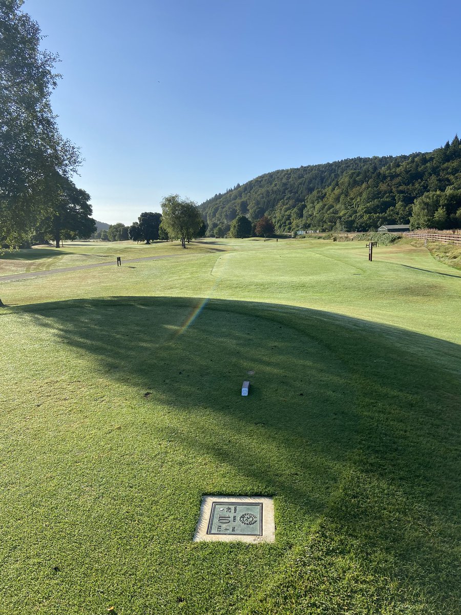 Woodenbridge Golf Club tweet media