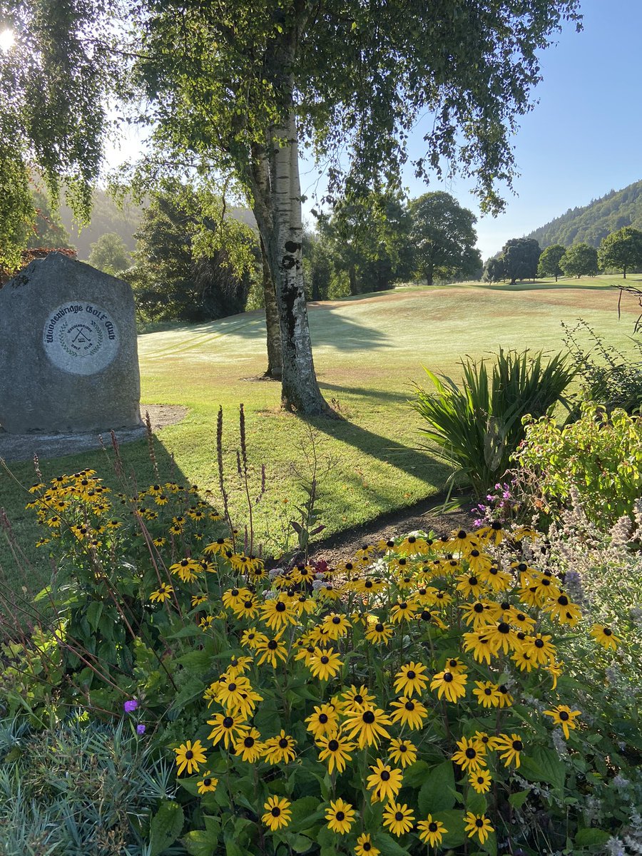 Woodenbridge Golf Club tweet media