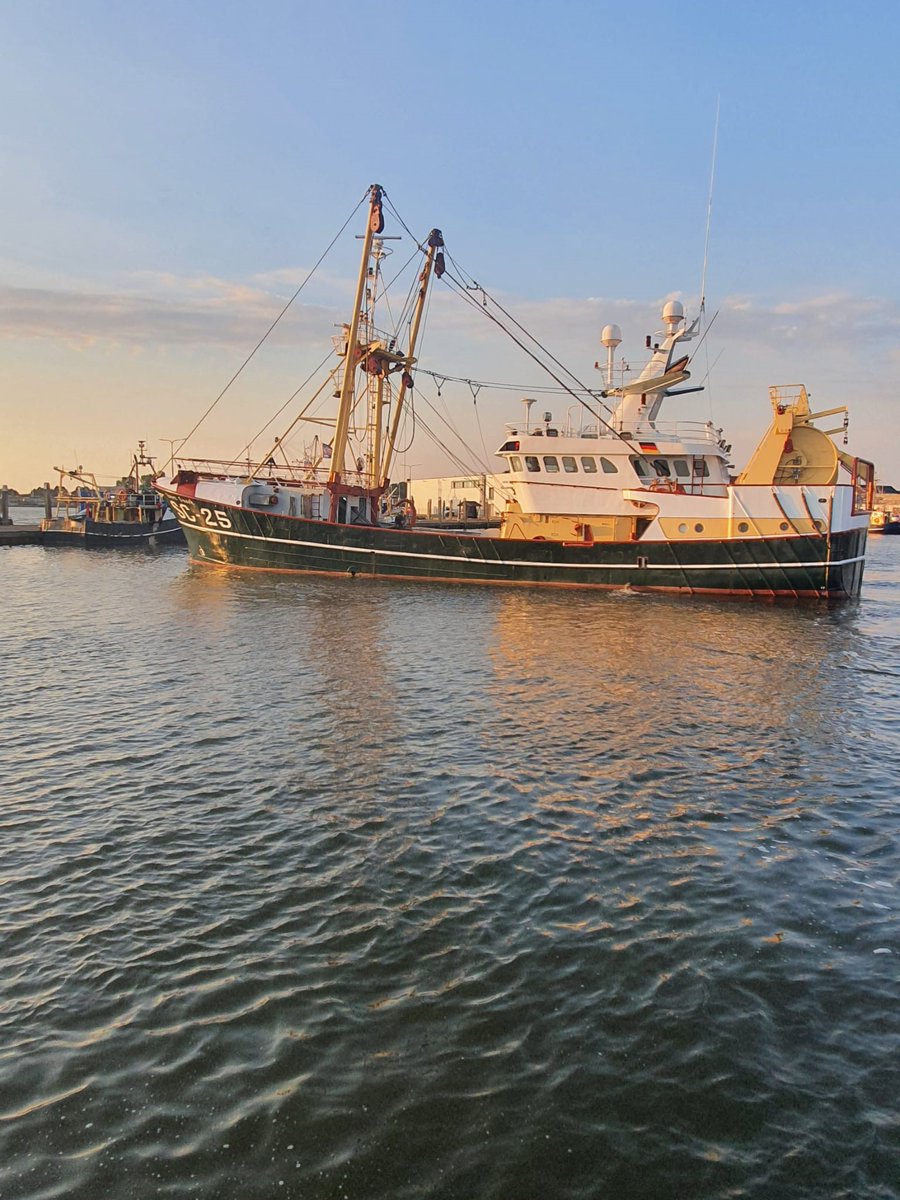 LuytGroep's tweet photo. Leaving Den Oever harbour in the morning sun.
Ready for #twinrigging 'Evert Snoek' SC-25. Heading to Harlingen #rigging.
Every success & best of luck to skipper/owner Willem & Jacob Snoek & crew from all of us! Thanks for visiting our shipyard. #LUYT #DenOever #ShipYard https://t.co/0Zx5kR0OPQ