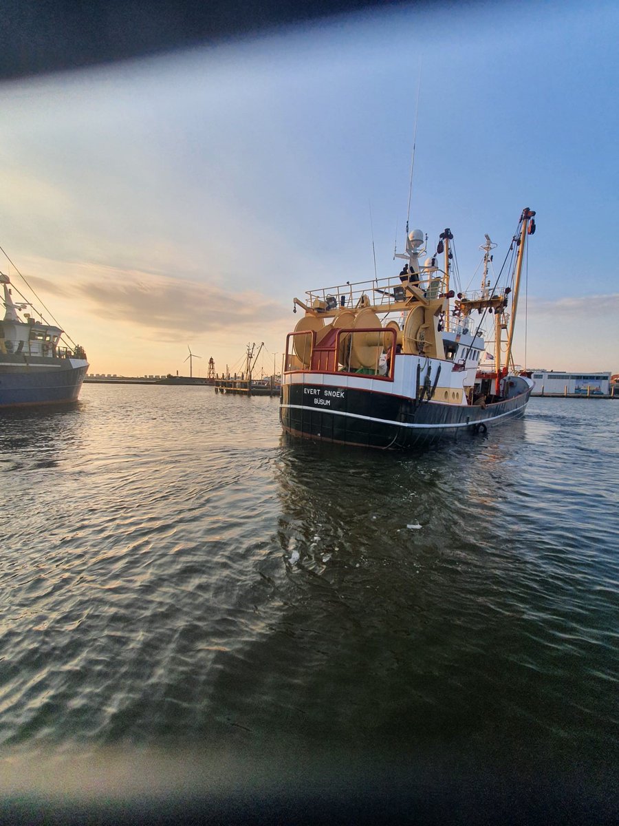 LuytGroep's tweet photo. Leaving Den Oever harbour in the morning sun.
Ready for #twinrigging 'Evert Snoek' SC-25. Heading to Harlingen #rigging.
Every success & best of luck to skipper/owner Willem & Jacob Snoek & crew from all of us! Thanks for visiting our shipyard. #LUYT #DenOever #ShipYard https://t.co/0Zx5kR0OPQ