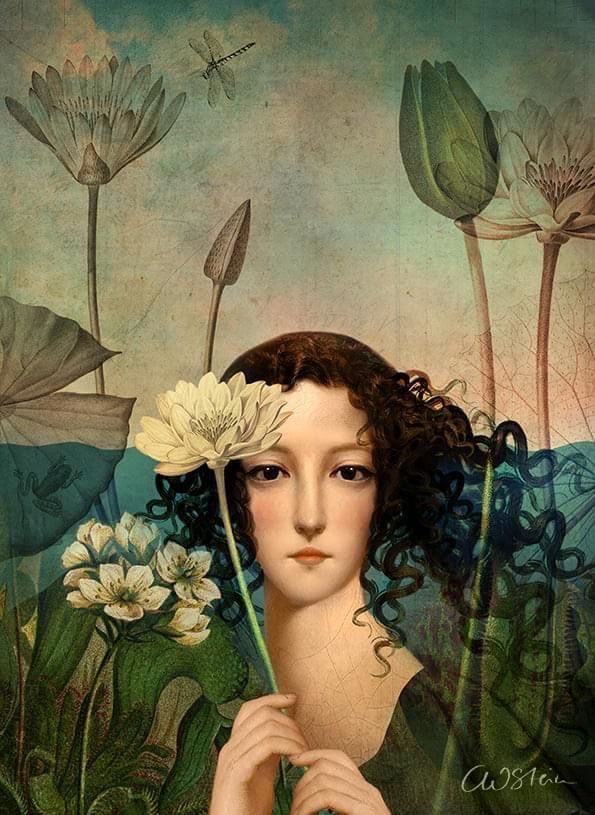 CarlyanneMcCon1's tweet photo. Hello, have a good day everyone 🙋‍♀️💜🕊

🎨Catrin Welz-Stein https://t.co/mNAsbUMkYQ
