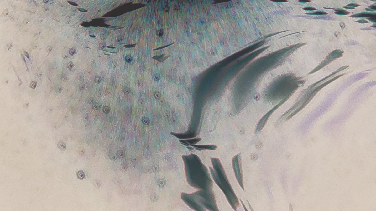 aebrahimiAli's tweet photo. #visualart #NFT #NFTcollections #NFTCommunity #seasons #audiovisual #nature #azstudio #stopmotion #NFTartist #body #bodyshaming #pulses #muscles #water #pool https://t.co/T23NmRVV7n
