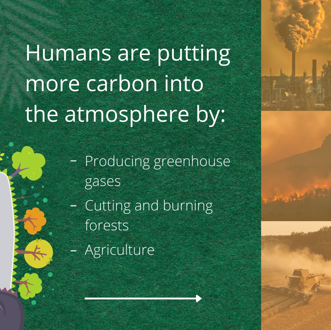 green_meso's tweet photo. Burning fossil fuels, cutting down trees, and farming, including livestock, are increasingly affecting climate change and global warming. The years between 2011-2020 recorded the highest temperatures as the average temperature was 1.1°C compared to previous years. https://t.co/UcsDWZCK9c