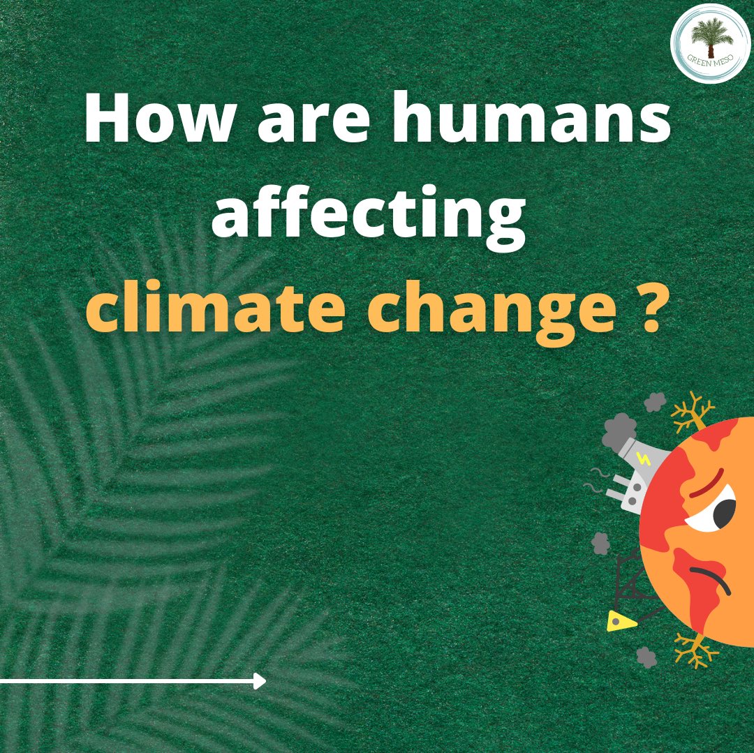 green_meso's tweet photo. Burning fossil fuels, cutting down trees, and farming, including livestock, are increasingly affecting climate change and global warming. The years between 2011-2020 recorded the highest temperatures as the average temperature was 1.1°C compared to previous years. https://t.co/UcsDWZCK9c