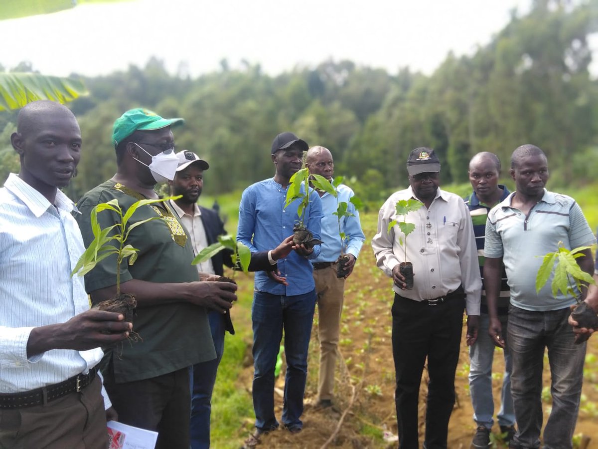 Tree planting is an easy and cost-effective method that has a good return for farmers and helps restore degraded land. 
#FarmForestry 
#Afforestation 
#ClimateActionNow