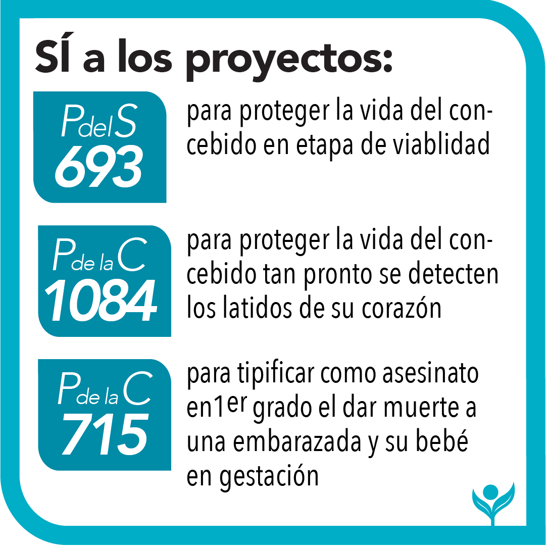 PuertoRicoDigno's tweet photo. ESCRIBE A TUS REPRESENTANTES: participacion@osl.org
SÍ A LOS PROYECTOS #PS693 #pc1084 #PC715
NO AL #PC1403
#ProVida #SalvemosLasDosVidas #QueremosDignidad #PorUnPRdigno #ProyectoDignidad
CULTURA PR💙VIDA https://t.co/5epnZ08cmk
