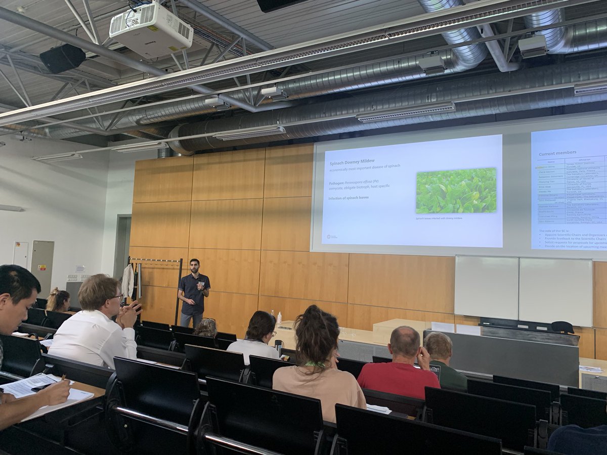 MFSeidl's tweet photo. @pskiadas talking about genetic variation about spinach downy mildew @BinfUtrecht @utrechtpmi @UniUtrecht great project with @MelMendel @guidopmi @dejongepmi https://t.co/XlaLijtxsh