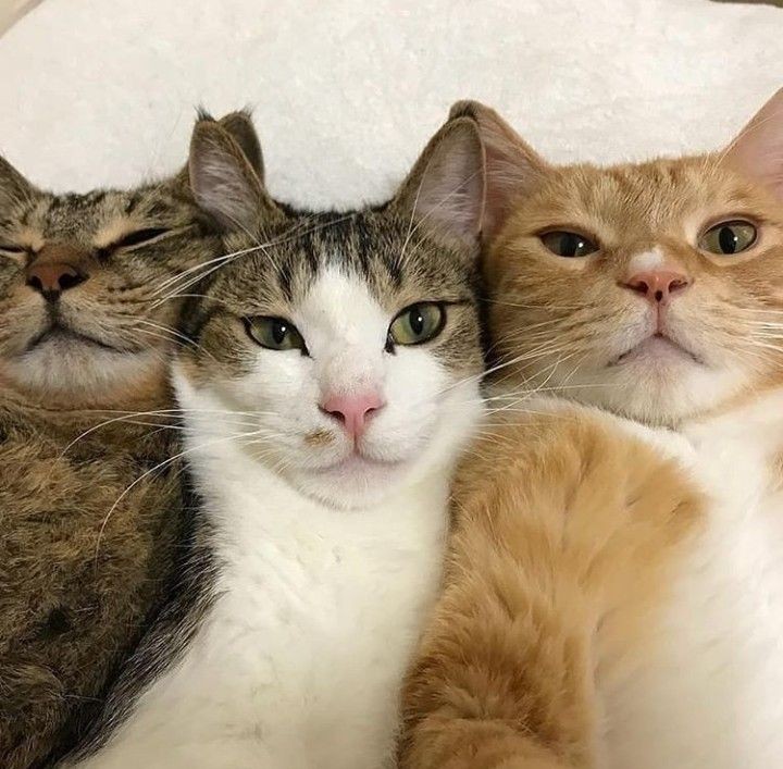 hourlyynyu's tweet photo. https://t.co/Tm0NBPdnjE