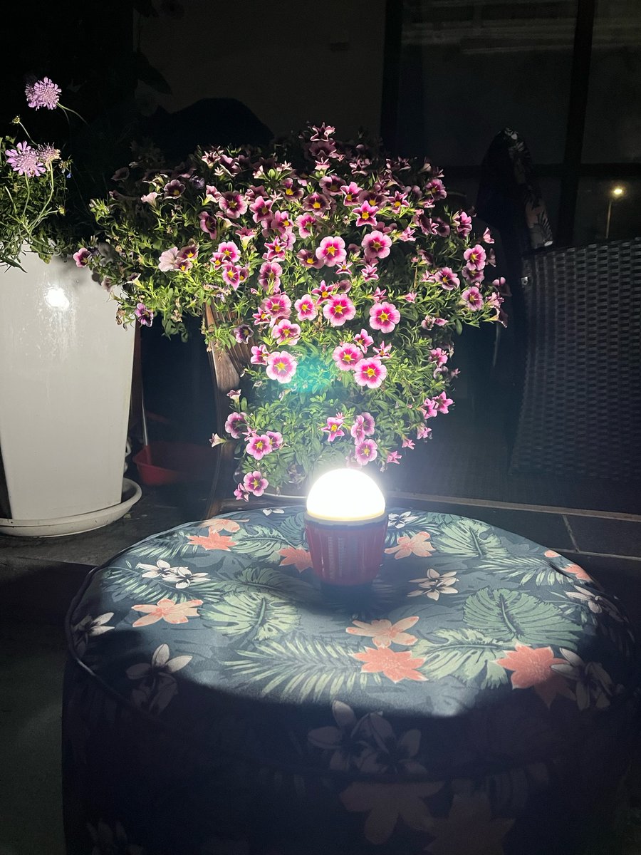 eLahjafi's tweet photo. Pimeneviin iltoihin USB ladattava ja vesitiivis LED-Lyhty https://t.co/4qS2zvjsN1 https://t.co/pg9N3jht91