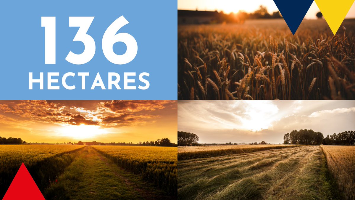 136 hectares of land are located at the Skegness Gateway. That’s a lot. 

It’s enough for 1,000 new homes, hundreds of new jobs, and on top of that, dozens of new business opportunities.

All of this is possible and more. 

To discover more, visit here: skegnessgateway.co.uk