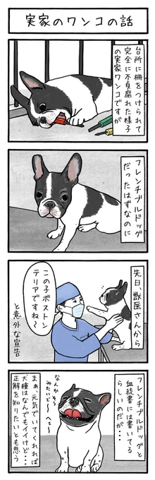 工務店の日報・第144話
大阪のとある工務店での日常を綴った4コマ漫画を毎日投稿!
#工務店の日報
#4コマ漫画
#4コマ
#漫画
#マンガ
#まんが
#イラスト
#エッセイ
#コミックエッセイ
#職人あるある
#現場あるある
#工事現場
#工務店
#エッセイ漫画 