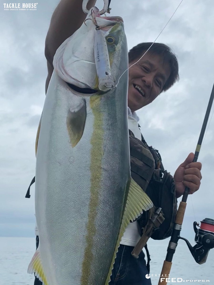 tacklehouse's tweet photo. フィールドレポートを更新しました。大阪府のテスター吉田様より。
https://t.co/Je7N3mF4ck
#タックルハウス #tacklehouse #フィードポッパー #フィードポッパー100SW (シンキングワークス) #CFP100SW #ブリ #大阪湾 https://t.co/DJ3aTVu6RX