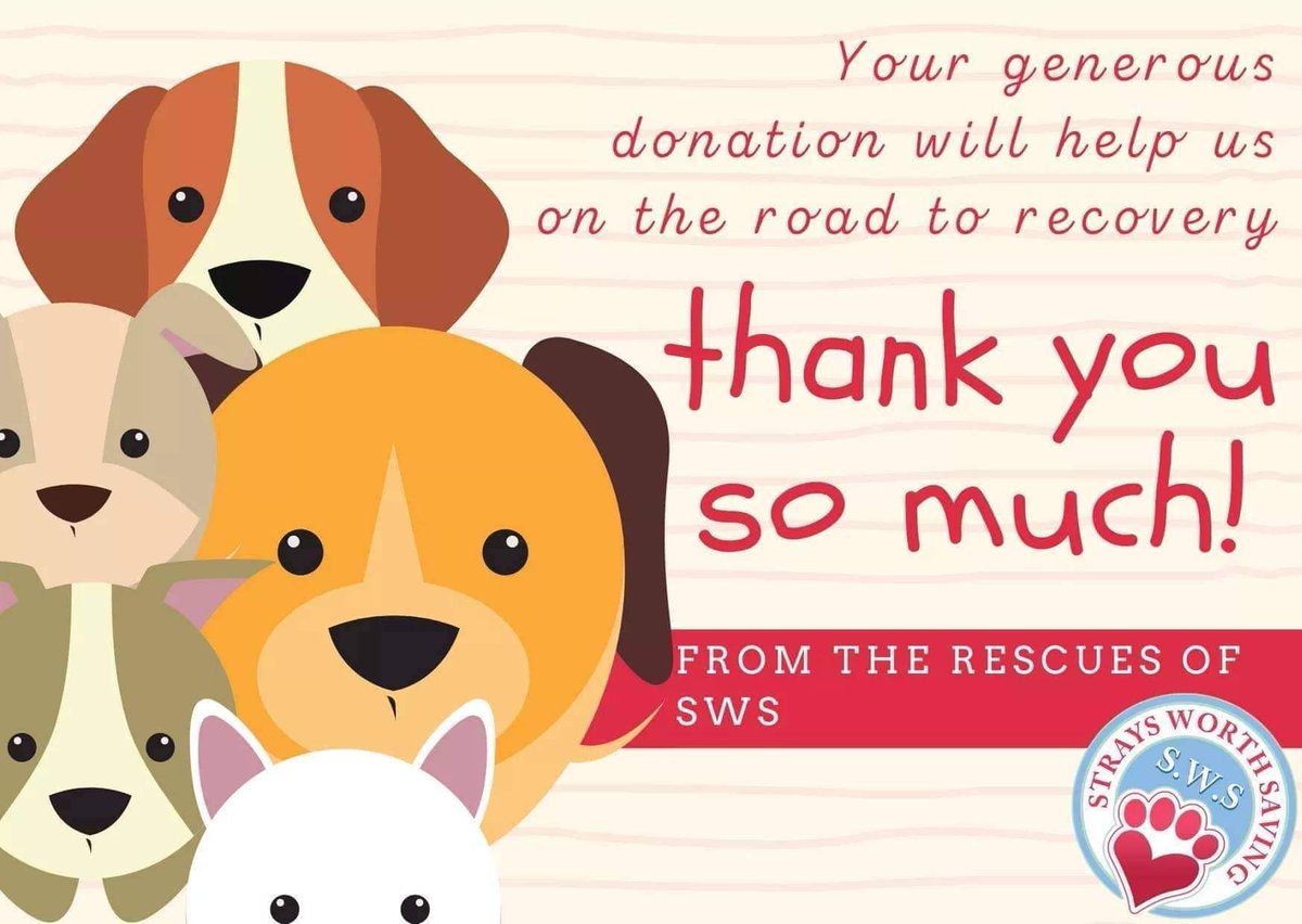 From DVas to furbabies 💝🐕

D&amp;V Philippines' employees have donated a total of Php137, 990 to Strays Worth Saving - SWS, a Philippine-based non-profit animal rescue service.

facebook.com/dvphilippines/…

Keep shining as always! ✨

📷 Strays Worth Saving - SWS