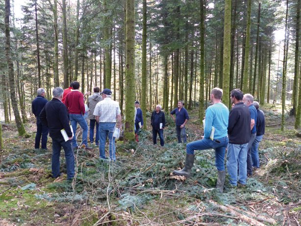 🌳@franceboisforet soutient des programmes de R&D pour adapter la forêt au #changementclimatique. Sans oublier de renforcer la formation des propriétaires forestiers. A lire dans la lettre B ➡️ franceboisforet.fr/2022/07/08/pre…