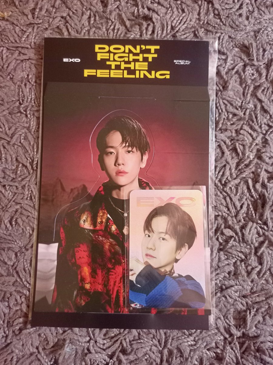 WTS BAEKHYUN DON'T FIGHT THE FEELING (DFTF) MD STANDEE WITH HOLO PC 

- RM45 (FULLSET WITH PC)
- RM6 WM and RM11 EM