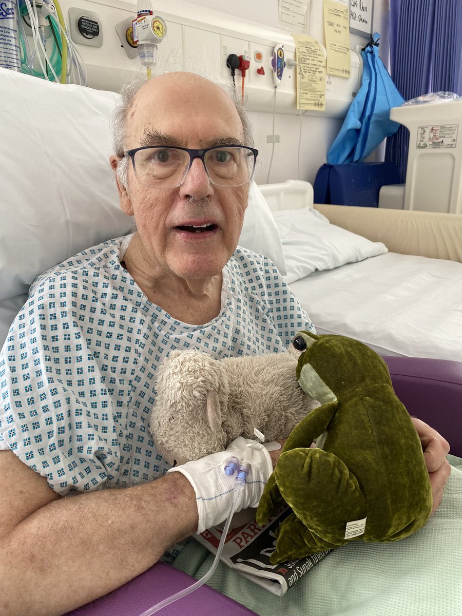 Truffles the Sheep tweet media