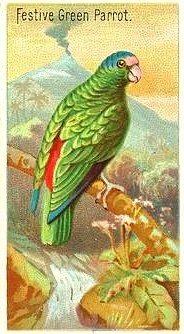 LatAmTravelist's tweet photo. @discoverguyana In a round about way @discoverguyana.
At least you could put me down for an El Dorado on the rocks, one of those Guyana rums that the country is so famous for.
A festive prize for a *green* festive parrot!

#VisitGuyana #paradiseofbirds  #ElDoradoRums #RumWithSoul
@ElDoradoRums https://t.co/2nyLfHcaYX