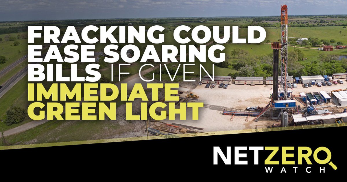 Net Zero Watch tweet media