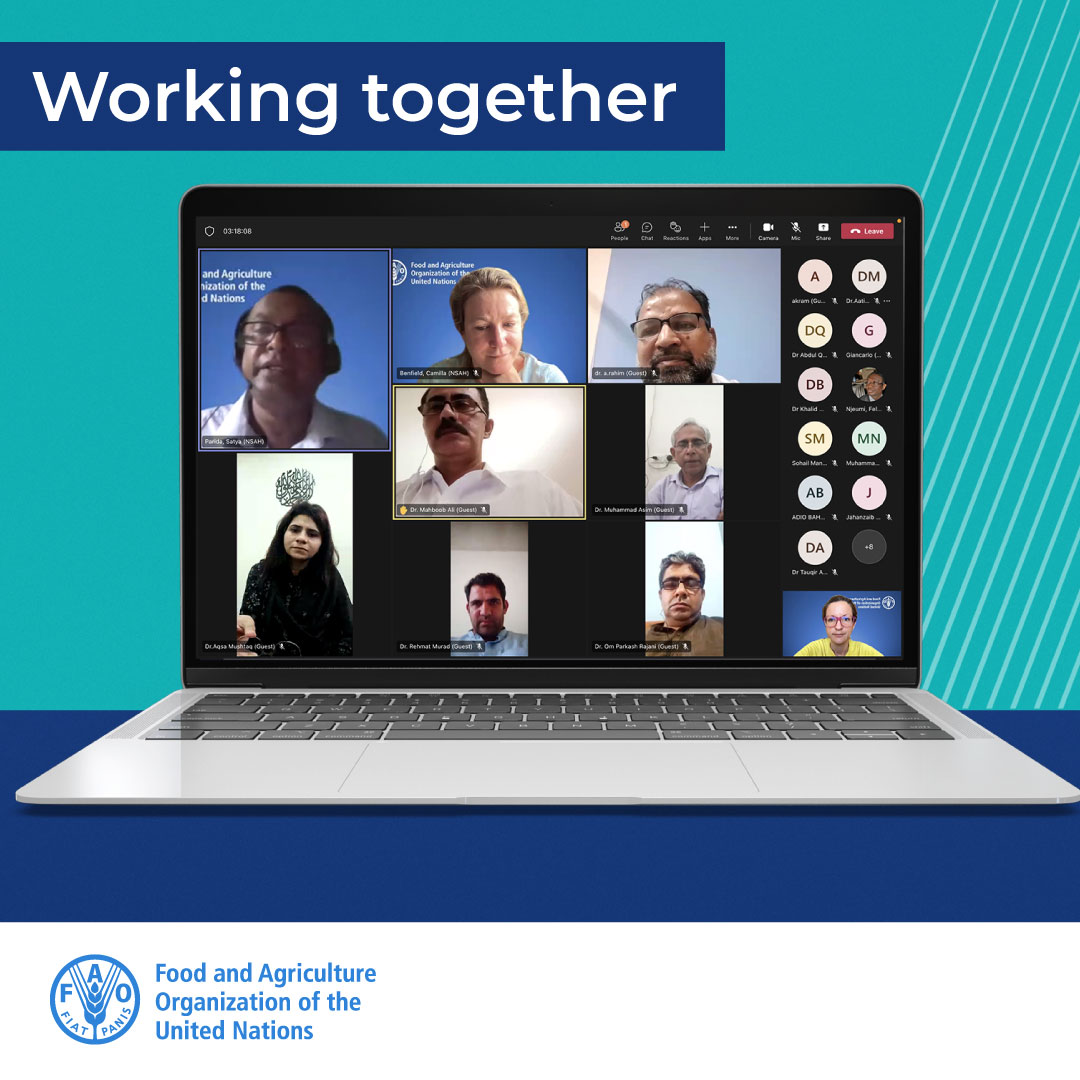 .<a href="/FAO/">Food and Agriculture Organization</a> virtual training on #PestedesPetitsRuminants (PPR) ongoing in Pakistan!

The PPR Secretariat met with the animal health authorities in 🇵🇰 to learn the PPR situation &amp; guide the design of their surveillance &amp; vaccination strategies.

👉FAO &amp; PPR: bit.ly/3Knyf03