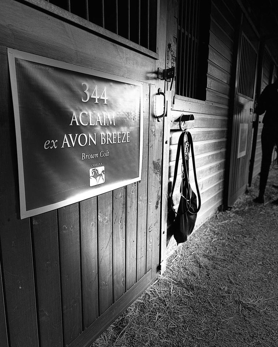 CharlockStud's tweet photo. @DoorCardsDirect @Tattersalls1766 We loved ours! Thank you team! https://t.co/2bFC3MfBtC