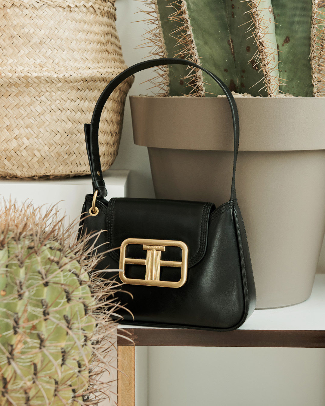 ebay ted baker purse