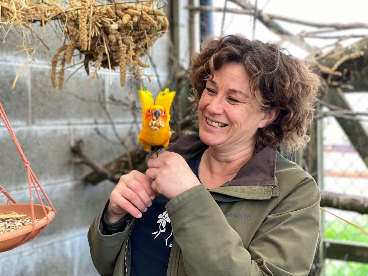 TheHolidayCots's tweet photo. Whilst staying at Morndyke self-catering holiday cottage and shepherd's huts you will have access to a magical parrot sanctuary and fishing lake.
🛌Sleeps 1-3
https://t.co/QjYUY84zfY 
#BusbyStoop #Thirsk #NorthYorkshire #HolidayCottage #ShepherdsHuts #Glamping @morndykefarm https://t.co/Jc6rGqDzkT