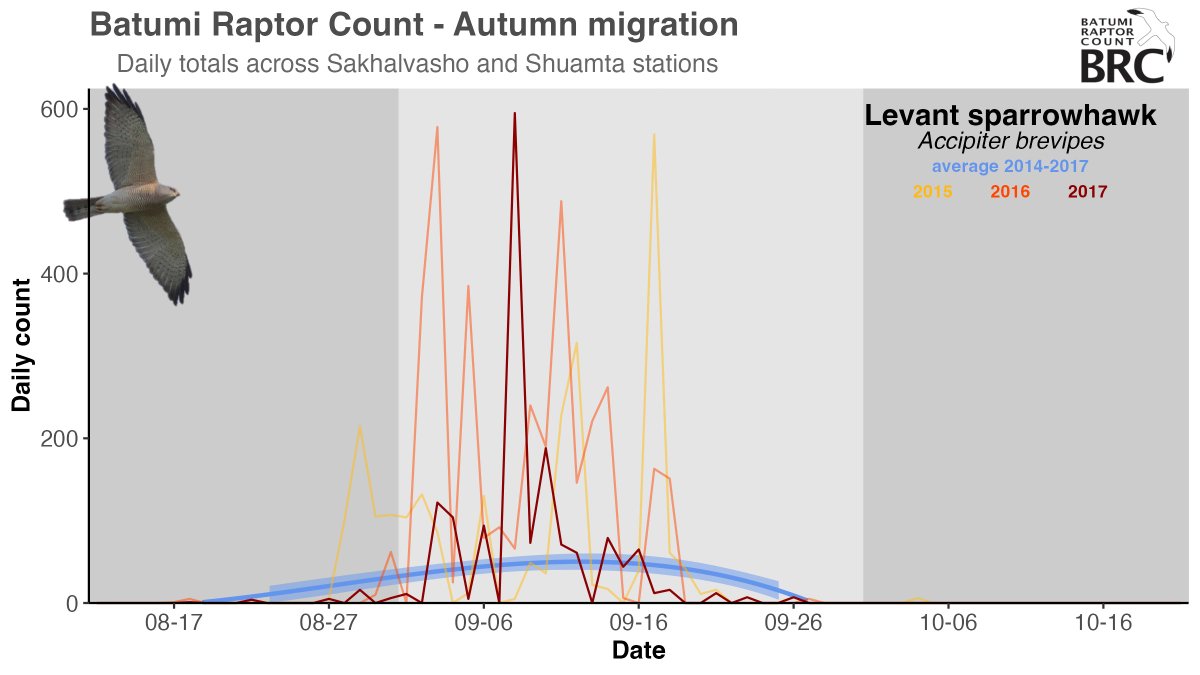 Packed and ready to travel to Georgia just in time for the main passage of Levant Sparrowhawk. With a small team of <a href="/BatumiRaptors/">Batumi Raptor Count</a> we'll be joining local falconers to continue training in raptor ringing, and hopefully track 8 Levant Sparrowhawks with <a href="/HQXSCN/">Global Messenger</a> tags. #ornithology