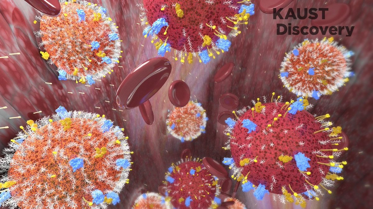 KAUST Research (@kaustresearch) on Twitter photo Pictured below is an illustration of the enhanced adhesion of stem cells when exposed to certain drug treatments recently identified by KAUST researchers, including <a href="/layan333/">Asma Al-Amoodi</a>.
🎨 by <a href="/HenoHwang/">Heno Hwang</a> part of our #KAUSTResearch team.
Learn more here:
disc.kaust.link/sticky-cells Pictured below is an illustration of the enhanced adhesion of stem cells when exposed to certain drug treatments recently identified by KAUST researchers, including <a href="/layan333/">Asma Al-Amoodi</a>.
🎨 by <a href="/HenoHwang/">Heno Hwang</a> part of our #KAUSTResearch team.
Learn more here:
disc.kaust.link/sticky-cells