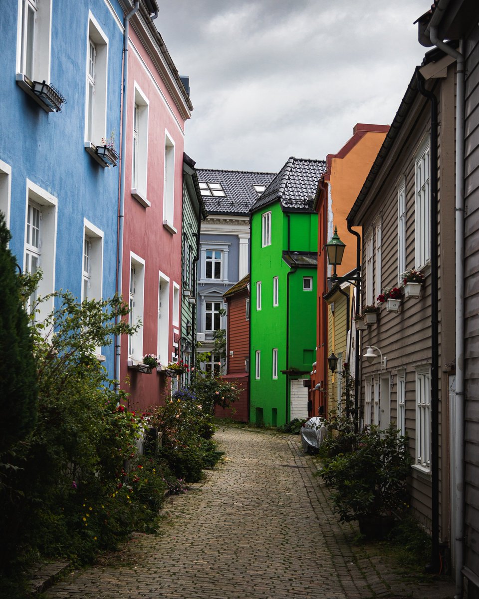 GM from this very green house 💚