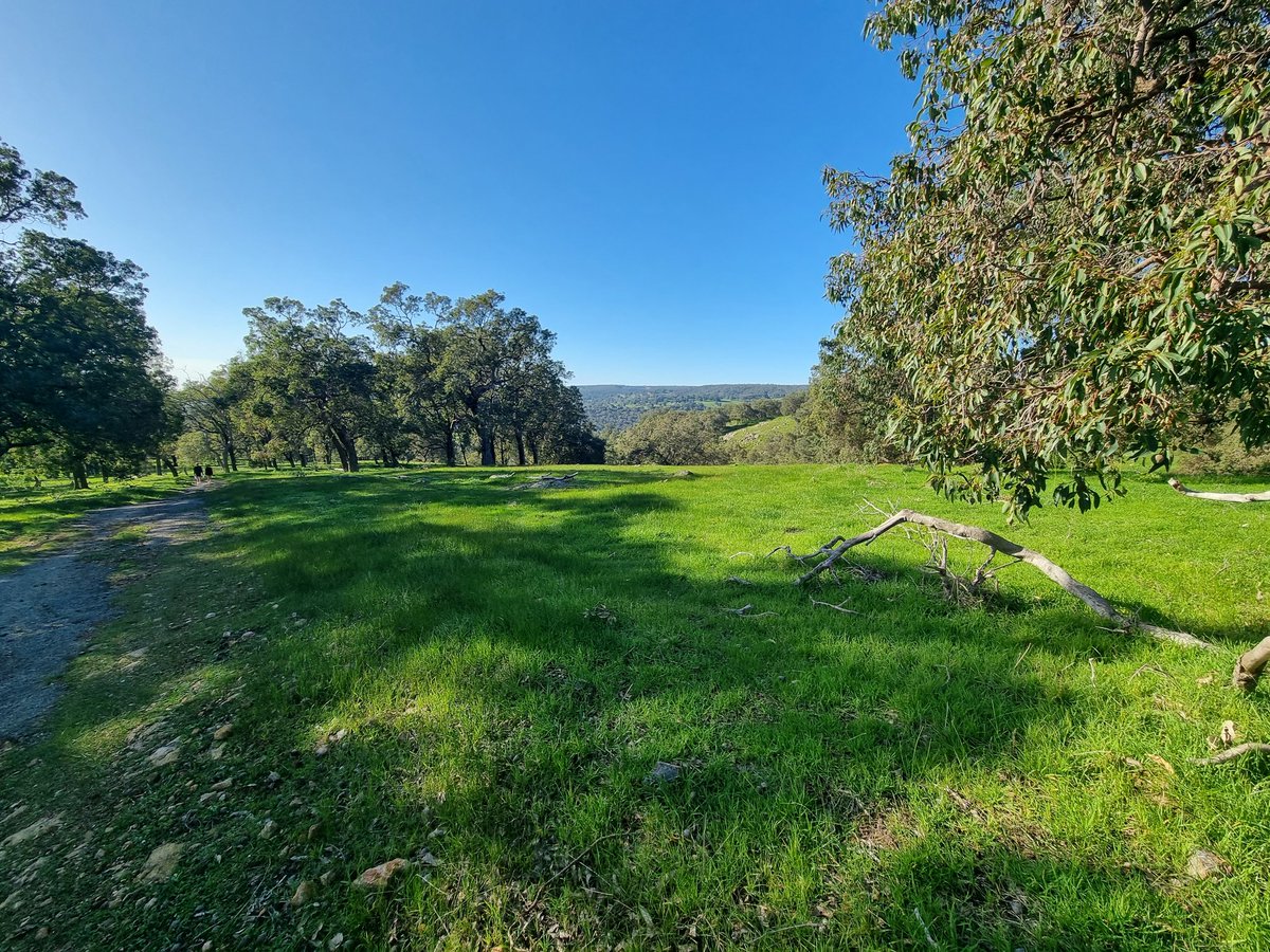 A short pilgrimage to take in our incredible surroundings! #HCCEllenbrook