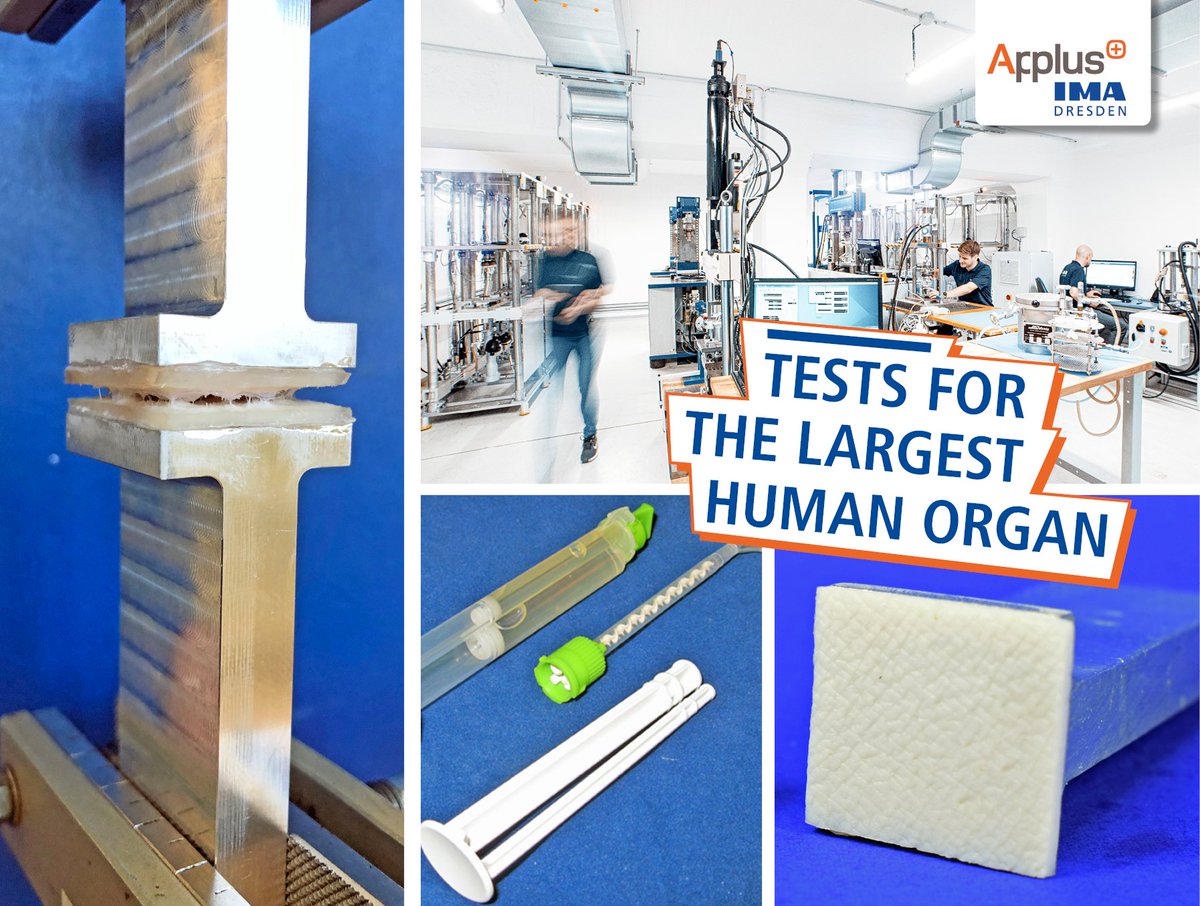 Tests for the largest human organ 

We humans have a lot in common with pigs, including the nature of our skin. It is the largest human organ and performs a variety of functions. 
Read more here: ima-dresden.de/en/news/tests-…