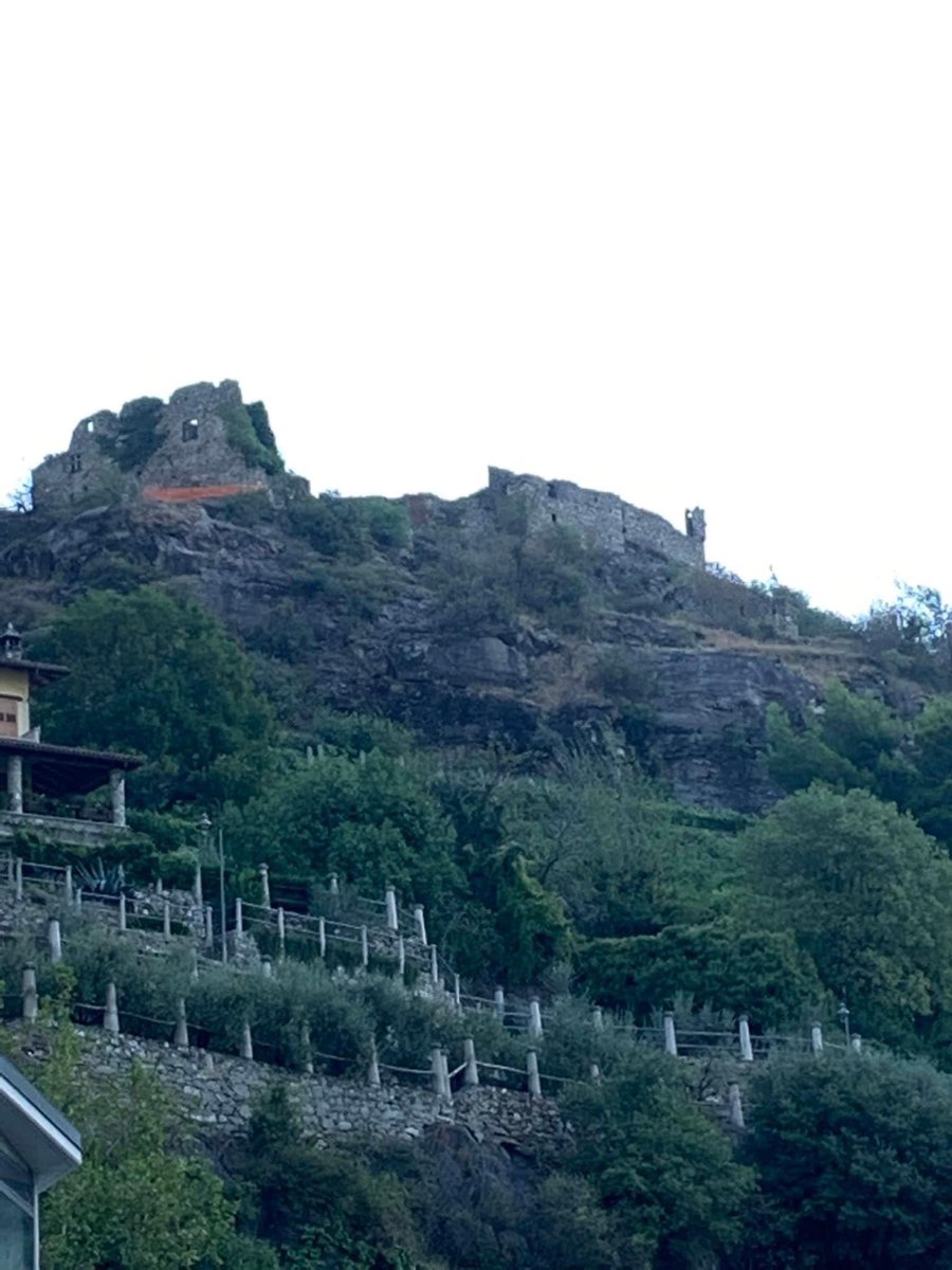 Sara Missaglia tweet media