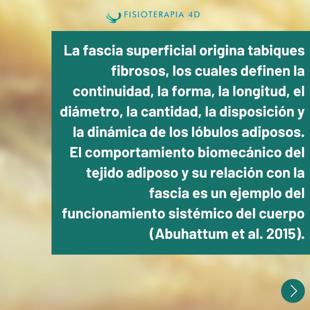 Fisioterapia4D's tweet photo. Las investigaciones muestran que el sistema fascial tiene un impacto evidente sobre el movimiento corporal.✅

👉Esto también incluye la gestión de sustancias que residen en el sistema circulatorio y son fundamentales para el comportamiento metabólico del cuerpo. 
(1) https://t.co/l7ehIHqqy9