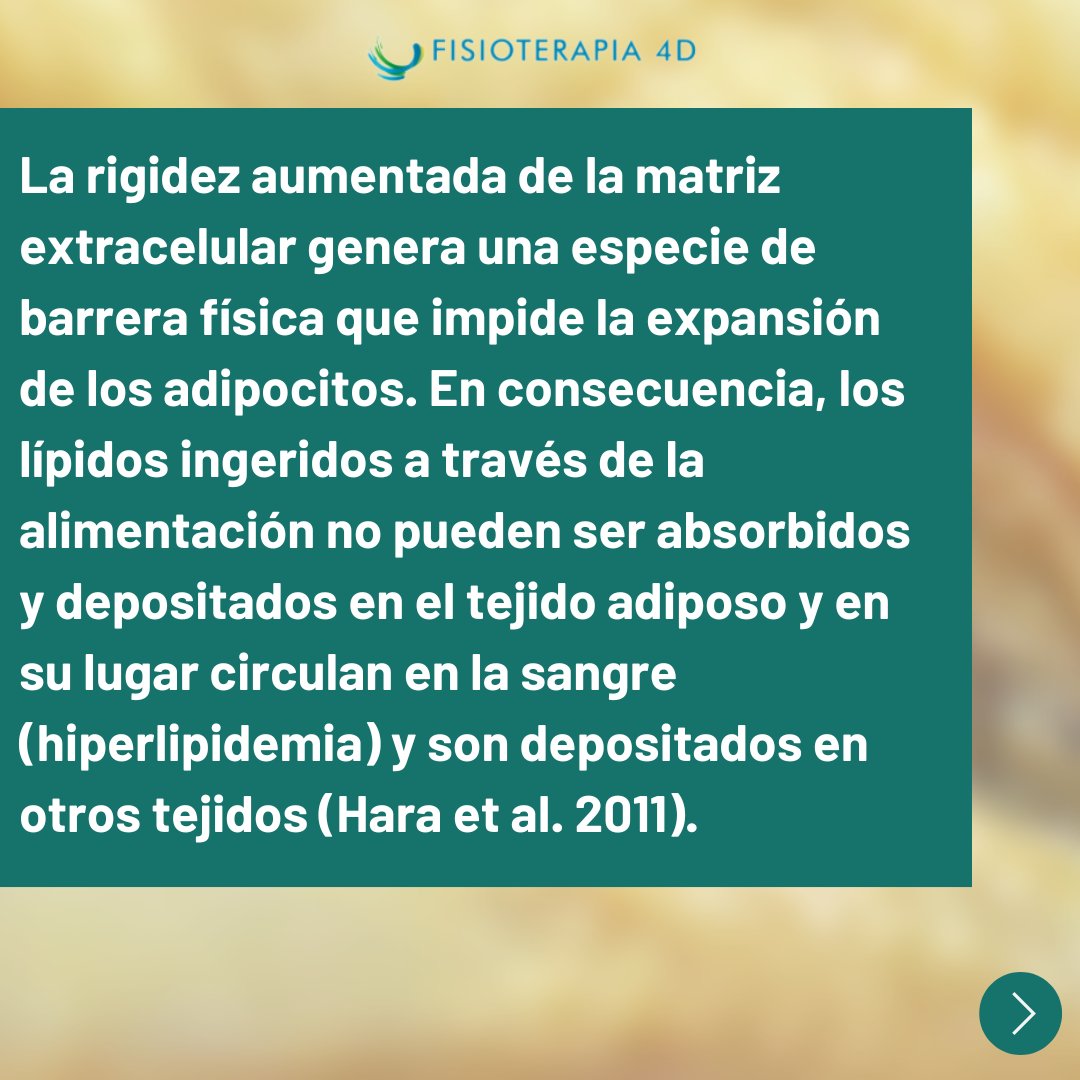 Fisioterapia4D's tweet photo. Las investigaciones muestran que el sistema fascial tiene un impacto evidente sobre el movimiento corporal.✅

👉Esto también incluye la gestión de sustancias que residen en el sistema circulatorio y son fundamentales para el comportamiento metabólico del cuerpo. 
(1) https://t.co/l7ehIHqqy9