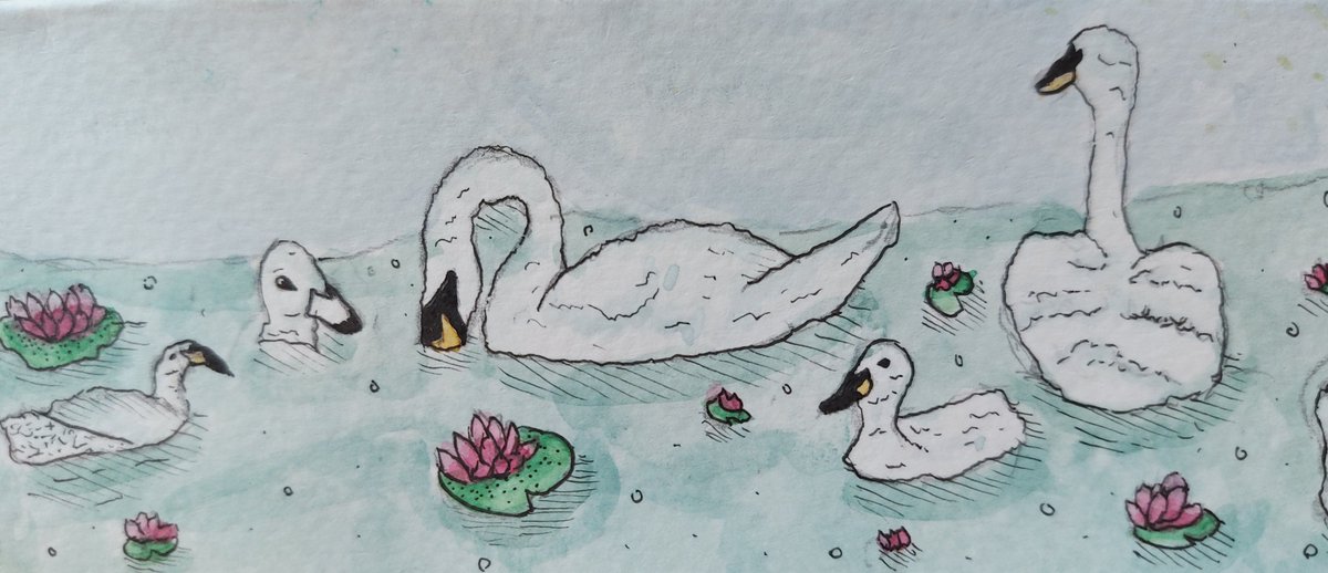 themercurymall's tweet image. It was 'quackers' at Breakfast Club!
#enjoy #swans #swanlife #wildlife #park #parklife #amazing #capture #breakfastclub #meetup #friends #welldone #coffee #tea #breakfast #fun #funtimes #morning #mondaymotivation #monday #local #watercolouring #painting #colours #club #natter