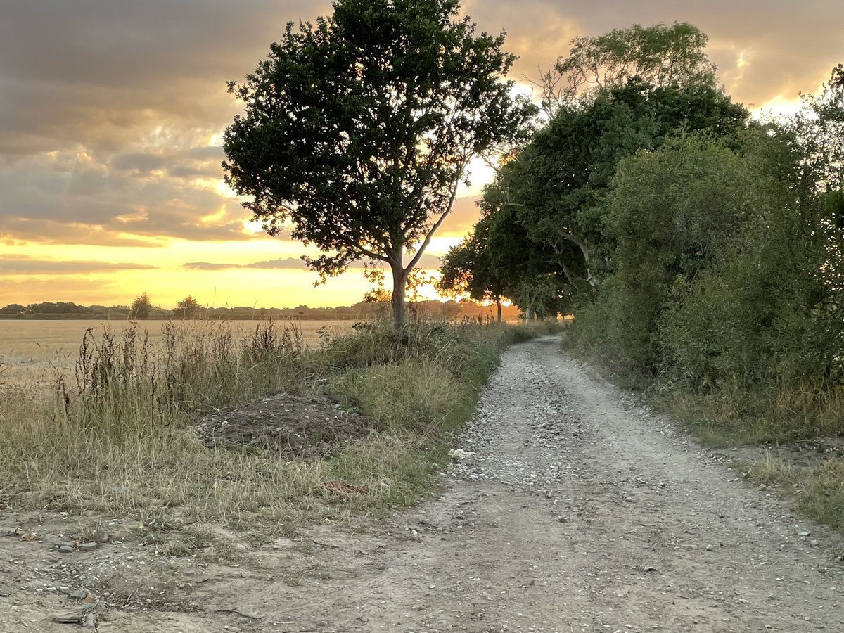 anita jane bullen tweet media