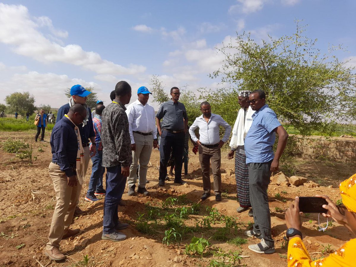 RRSEthiopia's tweet photo. Extending their mission to the #Melkadida refugee operation, the high-level delegation from RRS &amp; UNHCREthiopia visited the irrigation scheme &amp; maize &amp; lemon farms at Kobe refugee camp. The delegates held a meeting with heads of cooperatives &amp; members of livelihood beneficiaries. https://t.co/MV6ie7XCV1