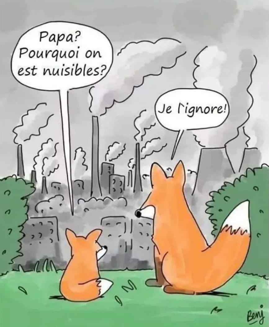 ElisaMaFrance's tweet photo. #protectionanimaux https://t.co/C7ctoURdJk