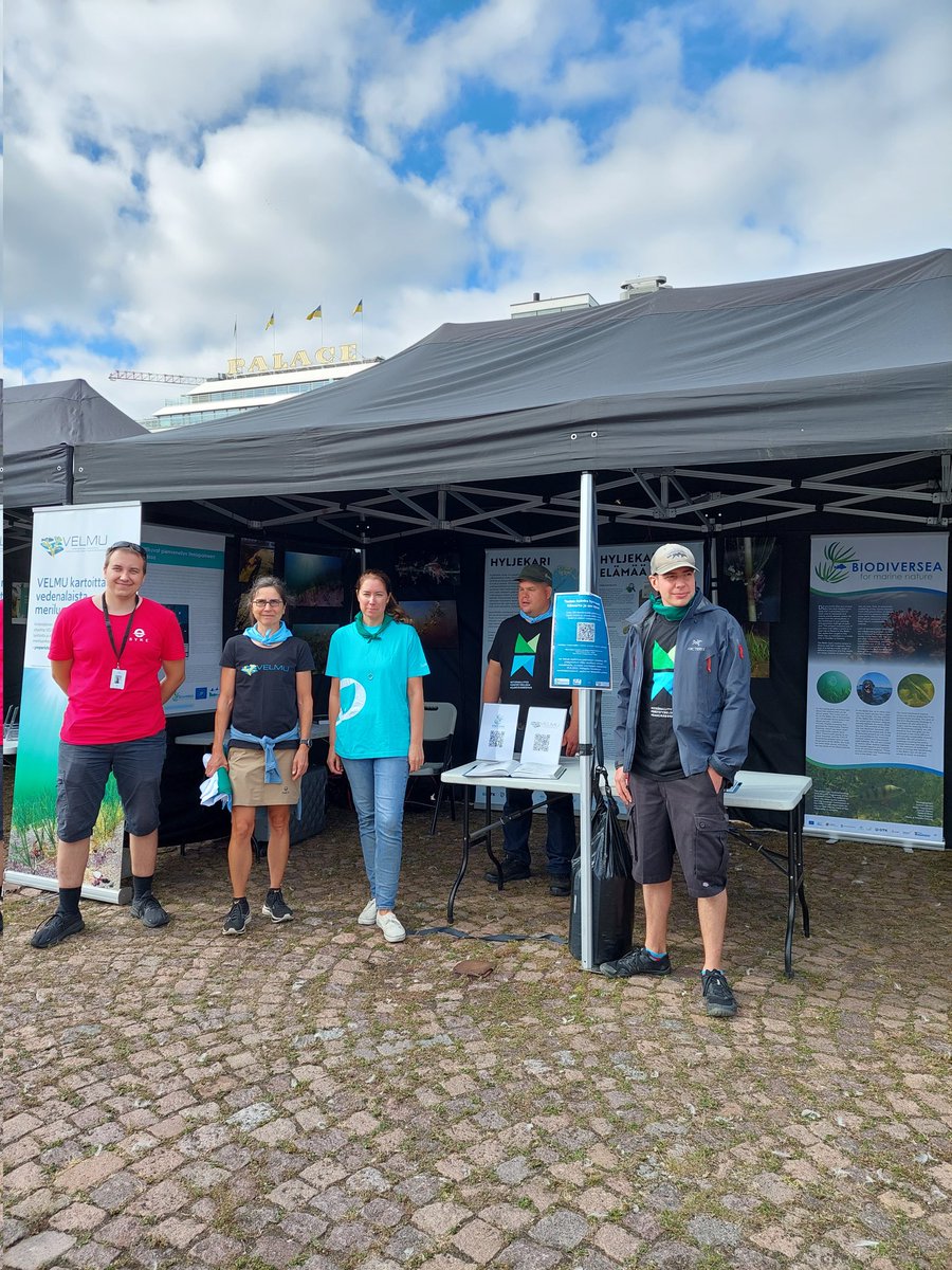 Riemukasta #Itämeripäivä'ä!🌊 Velmulaiset viettävät meremme juhlaa Pakkahuoneen laiturilla Helsingissä. Tervetuloa kuulemaan #VELMU-ohjelmasta, #Biodiversea-hankkeesta ja muusta Itämeren eteen tehtävästä työstä. Tule moikkaamaan klo 12-18! pic.x.com/s3G5dwDsmM