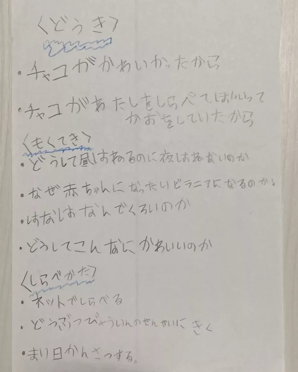 こんな感動する自由研究見たことない！ある小学生の今年の夏休みの宿題。